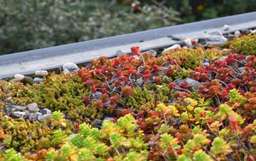 the cost of Earls Croome green roof installation