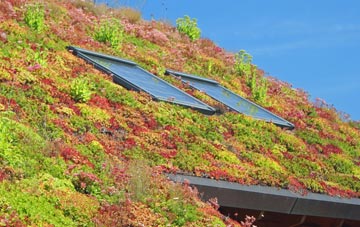Earls Croome living roof systems